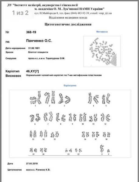 Анализ цитогенетического обследования в свидетельстве Елены. миниатюра