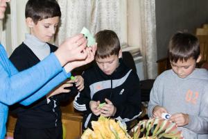 IMG 7884